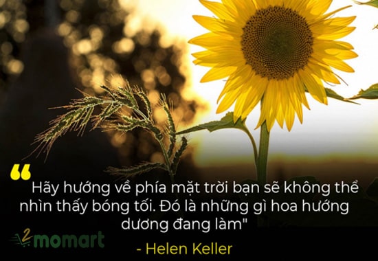 Hơn 3 năm nỗ lực và định hướng phát triển tại Hà Nội của cô sinh viên