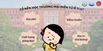 Có nên học Thương mại điện tử tại Trường Đại học Thủy Lợi?